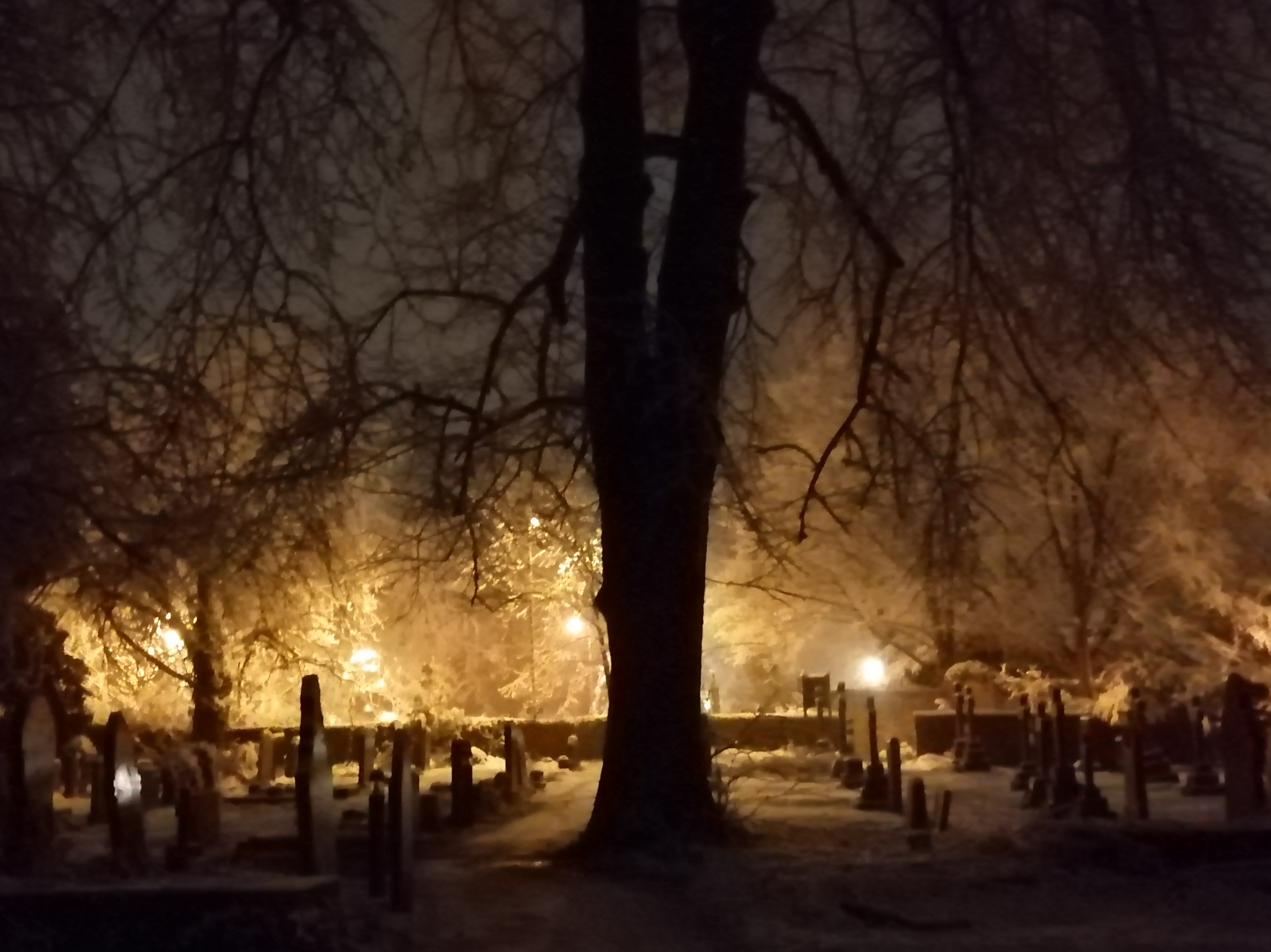 snow 5