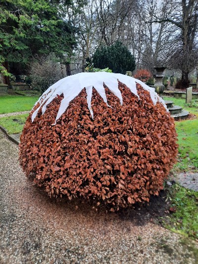 Jan 1 Christmas pudding